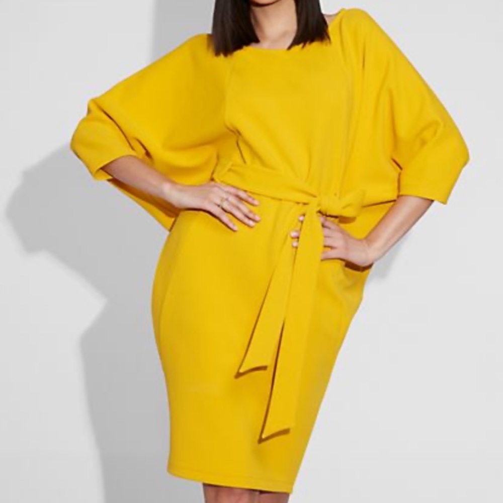 Gabrielle Union/ New York and company XS dress
